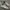 Puma Streetwear Casual Sneakers Pria white tan photo 1