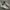 Puma Streetwear Casual Sneakers Pria White Tan