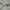 Acme De La Vie  Sportswear Casual Track jacket Wanita gray photo 8