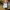 Lee Streetwear Casual Casual pants Pria tan photo 7