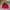 Casual Harrington jacket Pria red photo 5