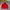 Casual Harrington Jacket Pria Red