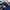 Dickies Luxury Fleece Pria navy photo 5