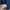 Dickies Luxury Fleece Pria navy photo 6