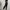 Adidas Sportswear Tracksuit Pria gray photo 2