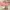 Atasan crop top BigSize photo 1