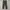 Stripe Trouser Dark Gray photo 4