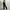 Adidas Sportswear Tracksuit Pria black photo 2