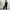 Adidas Sportswear Tracksuit Pria black photo 3