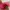 topi cap polo ralph lauren size free asjustable pink photo 5