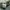 Edwin Hickory Stripe Long Pants photo 5