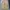 SUPERWIDELEG Baggy Pants photo 7