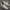 Nike Streetwear Casual Sneakers Pria White Brown
