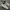 Nike Streetwear Casual Sneakers Pria orange white photo 1