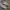 Nike Streetwear Casual Sneakers Pria tan photo 3