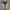 Nike Streetwear Casual Sneakers Pria tan photo 4