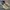 Nike Streetwear Casual Sneakers Pria tan photo 1