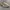 Nike Streetwear Casual Sneakers Pria tan photo 5