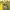 Y2K Casual Blouse Wanita multicolor yellow photo 2