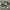 Nike Streetwear Casual Sneakers Pria white black photo 2