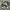 Nike Streetwear Casual Sneakers Pria White Black