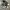 Nike Streetwear Casual Sneakers Pria white black photo 1