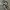 Nike Streetwear Casual Sneakers Pria white black photo 3