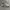 Asics Streetwear Casual Sneakers Pria tan black photo 5