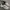Asics Streetwear Casual Sneakers Pria tan black photo 1