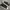 Adidas Streetwear Casual Sneakers Pria white black photo 2