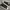 Adidas Streetwear Casual Sneakers Pria White Black