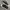 Adidas Streetwear Casual Sneakers Pria white black photo 3