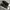 Adidas Streetwear Casual Sneakers Pria White Black
