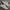 Reebok Streetwear Casual Sneakers Pria white photo 2