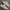 Reebok Streetwear Casual Sneakers Pria White