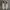 Reebok Streetwear Casual Sneakers Pria white photo 4