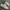 Reebok Streetwear Casual Sneakers Pria white photo 1