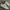 Reebok Streetwear Casual Sneakers Pria White