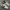 Nike Streetwear Casual Sneakers Pria white black photo 1