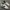 Nike Streetwear Casual Sneakers Pria White Black