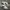 Nike Streetwear Casual Sneakers Pria white black photo 2
