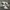 Nike Streetwear Casual Sneakers Pria White Black