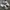 Nike Streetwear Casual Sneakers Pria white black photo 3