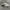 Nike Streetwear Casual Sneakers Pria white black photo 5