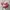 Christian Siriano Heels Wanita pink photo 3