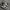Nike Streetwear Casual Sneakers Pria white navy photo 2