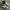 Nike Streetwear Casual Sneakers Pria white navy photo 1