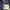 Nike Sportswear Tracksuit Pria navy photo 4