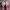 Nike Streetwear Casual Sneakers Pria white red photo 6