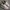 Nike Streetwear Casual Sneakers Pria white red photo 1